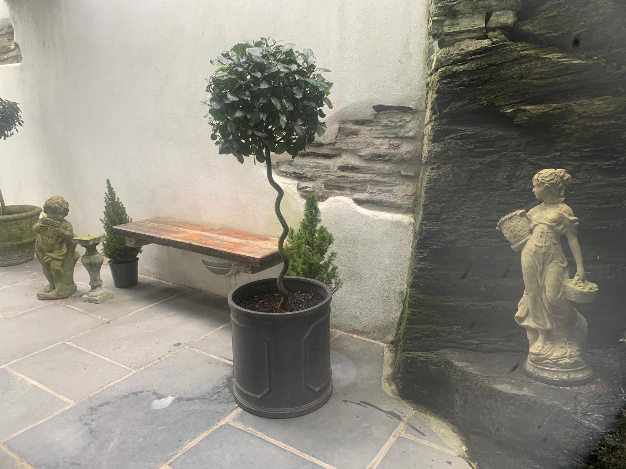 Georgian Holiday Apartment In Boscastle Exterior foto